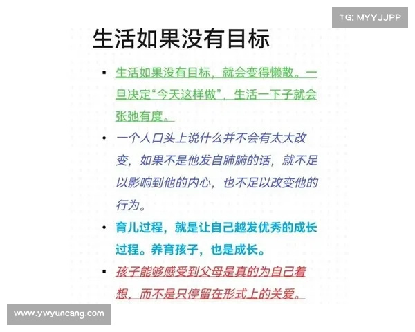 轻松掌控战局的布局技巧与战略思维深度解析 轻松掌控战局的布局技巧与战略思维深度解析
