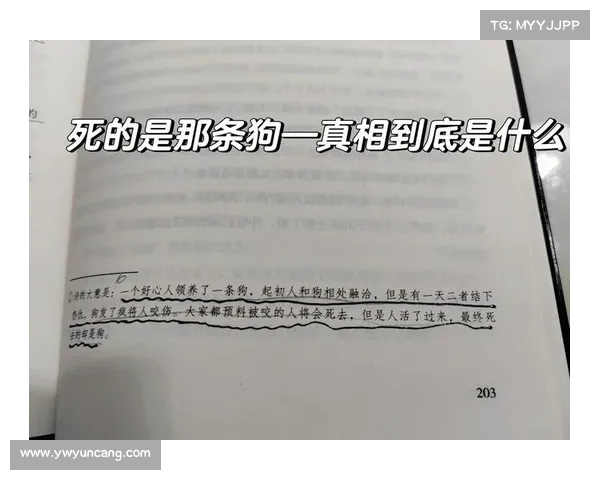叶孤城掌门之路的五大挑战解析:权力、责任、背叛、情感与内心挣扎的艰难抉择 叶孤城掌门之路的五大挑战解析:权力、责任、背叛、情感与内心挣扎的艰难抉择