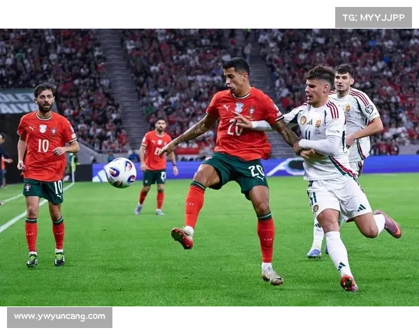 如何通过多种途径了解葡萄牙足球队的名称及其历史背景