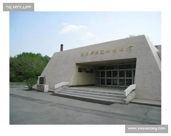 揭示东超背后的深层含义及其对当代文化与社会的深远影响